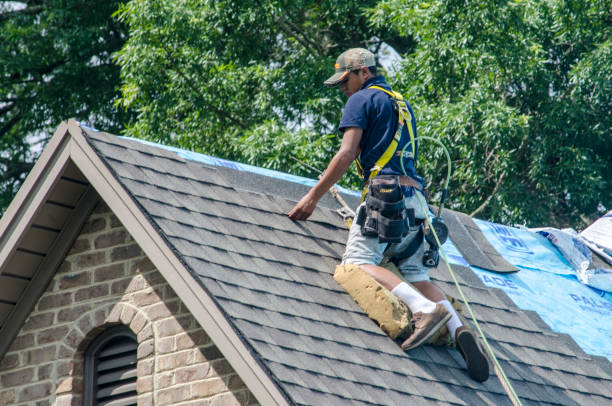 Best Gutter Installation and Roofing  in Cloverdale, VA