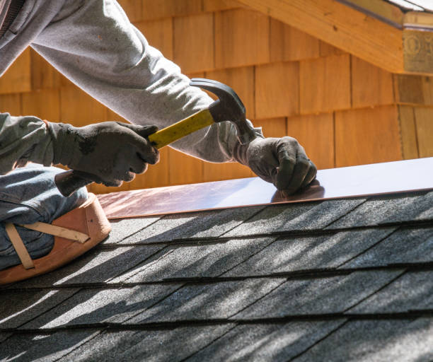 Best Roof Gutter Cleaning  in Cloverdale, VA